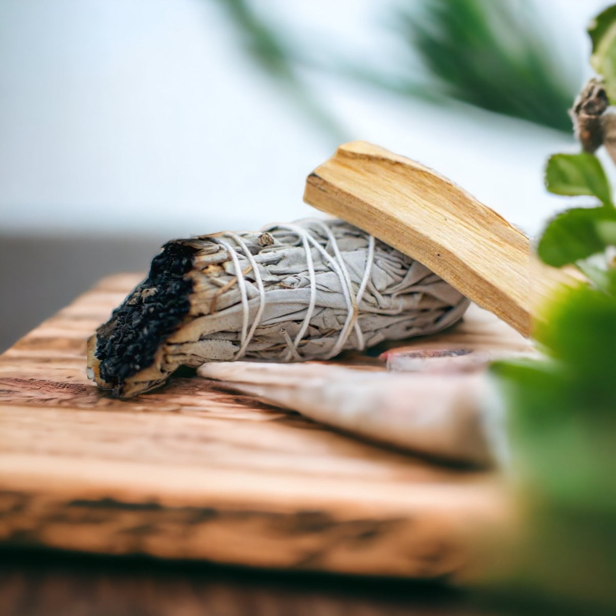 zsálya füstölőköteg és palo santo füstölőfa