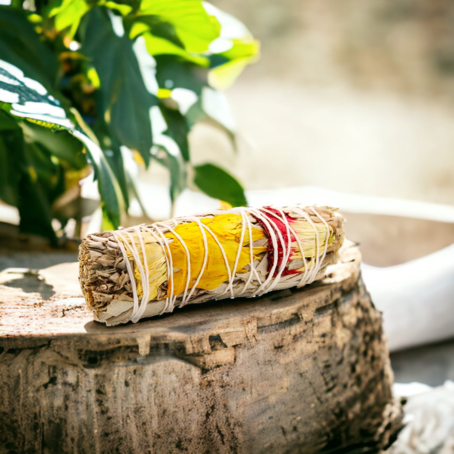 zsálya füstölőköteg